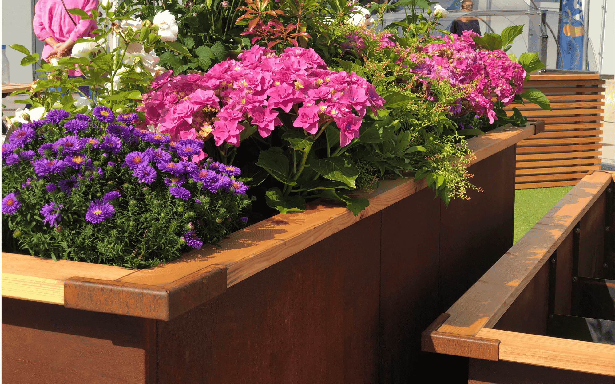 Corten(1)