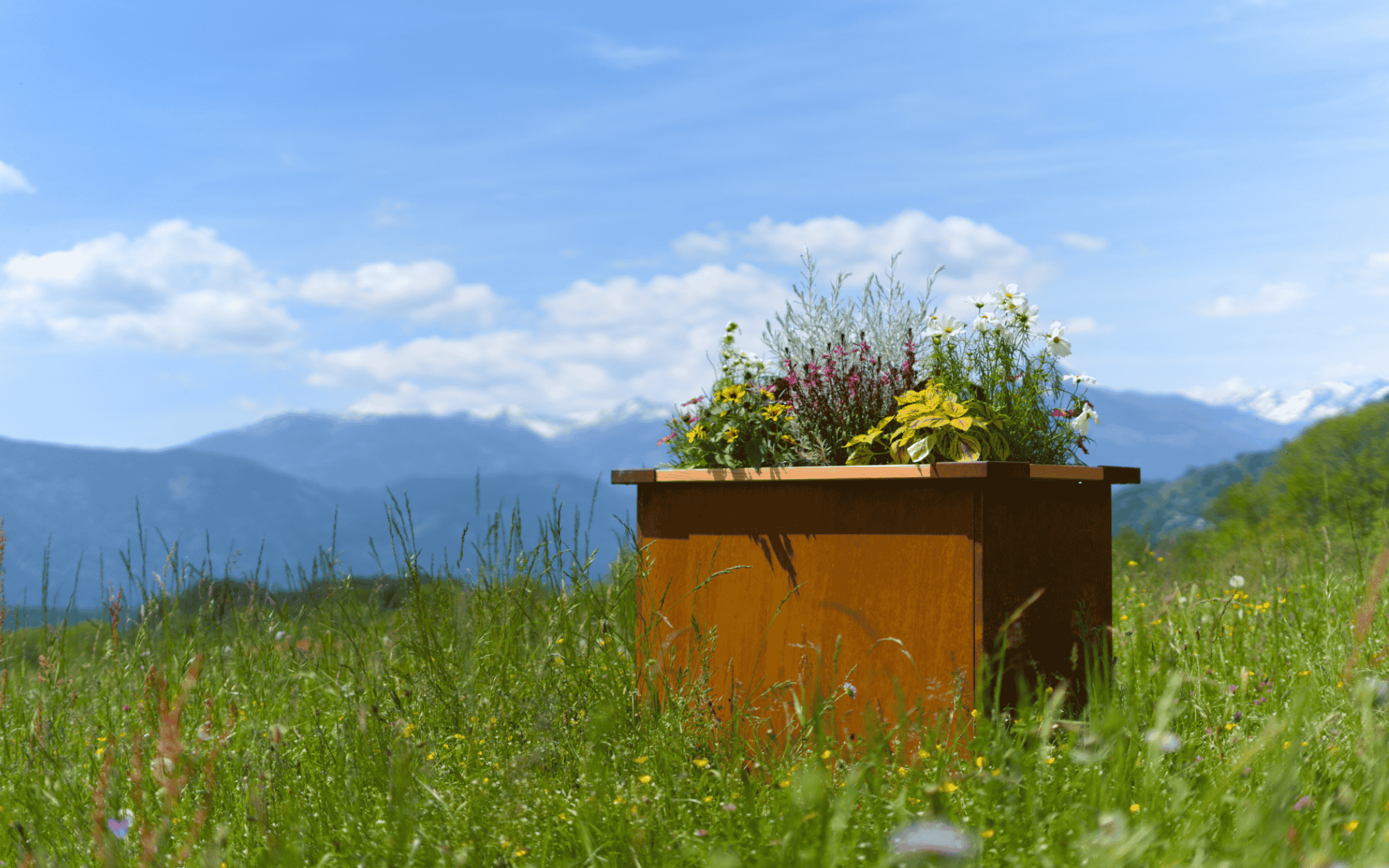 Corten(3)