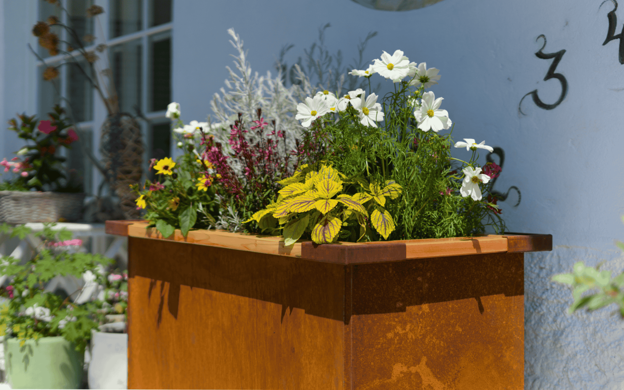 Corten(5)